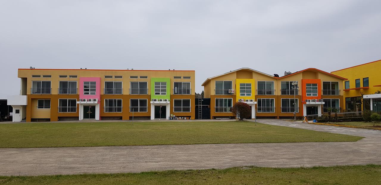 Geomunoreum Hostel Jeju Exterior photo